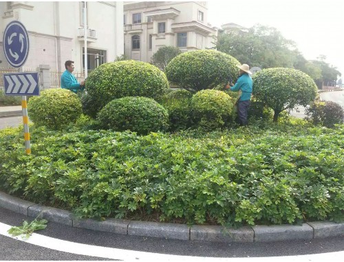 宜城绿化市容管理事务中心